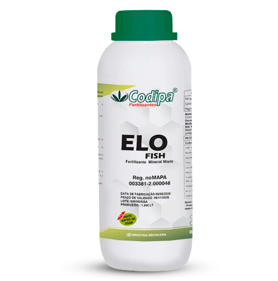 ELO FISH